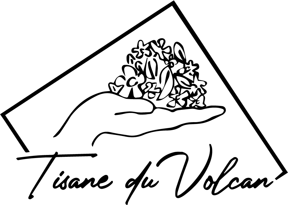Tisane du volcan